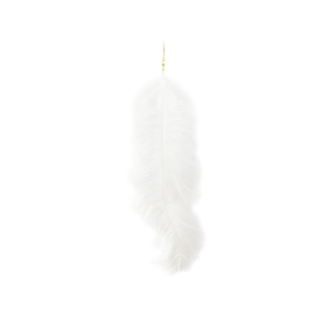 WIDE FEATHER EARRING
